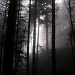 Lebenskrisen